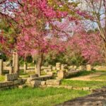 Ancient Olympia Full-Day Private Tour from Athens - What the Reviews Say