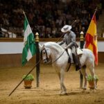 Andalusian Horses Dance Show - Authenticity and Cultural Significance