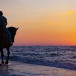 Antalya Horse Riding On Beach And Through The Forests For 2 Hours - The Itinerary Breakdown