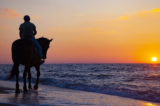 Antalya Horse Riding On Beach And Through The Forests For 2 Hours - The Itinerary Breakdown