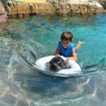 Aqua Natura Water Park Admission Ticket in Benidorm - The Downsides and Considerations