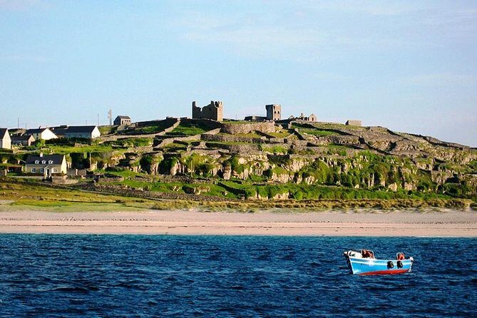 Aran Island, Cliffs of Moher & Cruise tour from Galway. Guided. - What Travelers Are Raving About