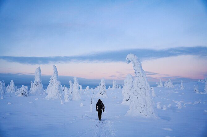 Arctic Adventure through Magical Frozen Forests of Riisitunturi - Who Should Consider This Tour?