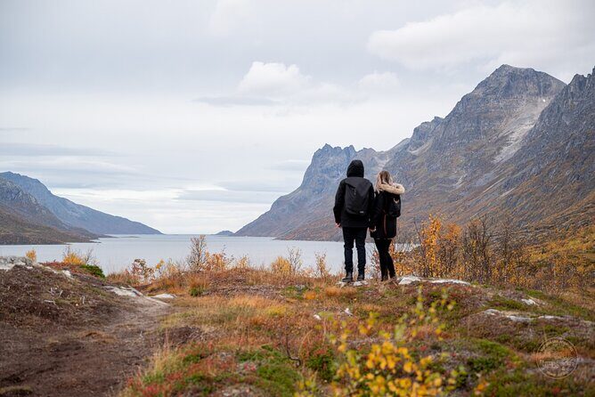 Arctic Roadtrip: fjords with scenic picnic | Sightseeing - Frequently Asked Questions
