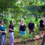 Arieiro Peak, Balcoes Viewpoint, Santana & Ponta De Sao Lourenço - What the Reviews Say