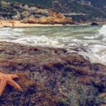 Arrábida Jeep Tour  Europe's Most Beautiful Beach & Hidden Gems - The Real Deal from Travelers’ Reviews
