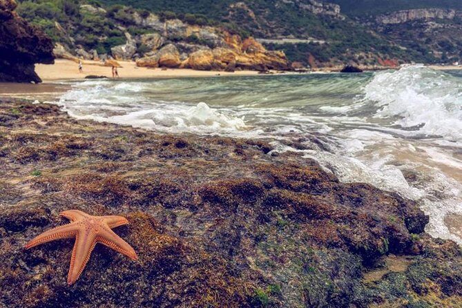 Arrábida Jeep Tour  Europe's Most Beautiful Beach & Hidden Gems - The Real Deal from Travelers’ Reviews