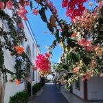 Arround Gran Canaria All Highlights Private Shore Excursion - The Experience and Its Value