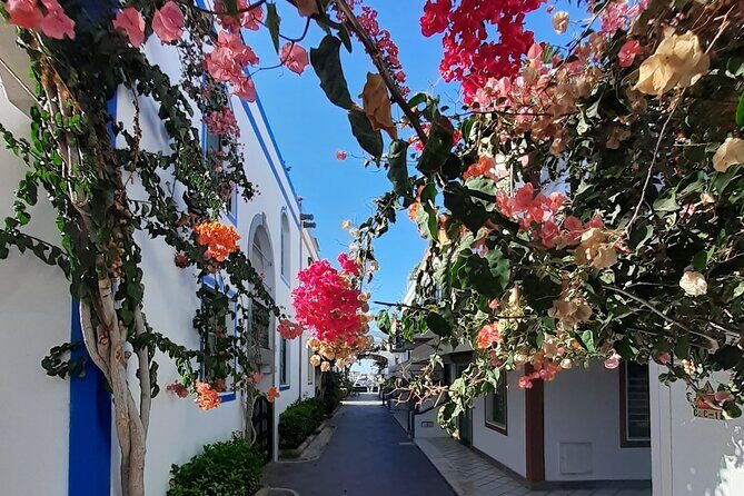 Arround Gran Canaria All Highlights Private Shore Excursion - The Experience and Its Value