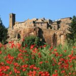 Assisi and Orvieto Guided Day Tour from Rome with Lunch - The Practical Side: Transportation, Timing, and Group Size