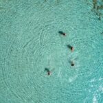 Athens Day Cruise  Since 1965 | Visit Hydra, Poros & Aegina - Who Should Consider This Tour?