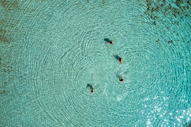 Athens Day Cruise  Since 1965 | Visit Hydra, Poros & Aegina - Who Should Consider This Tour?