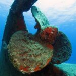 Athens Scuba Diving Experience for Certified Divers with pick up - What Reviewers Love (and What They Dont)