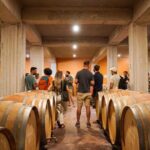 Athens to Nemea Wine Experience Tour - Who Should Consider This Tour?