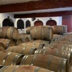 Athens Wine Tour - An Outstanding Full Day Experience For Dedicated Winelovers - What Travelers Are Saying