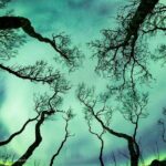 Aurora Adventure Tour with Creative Vacations - The Pros of This Tour