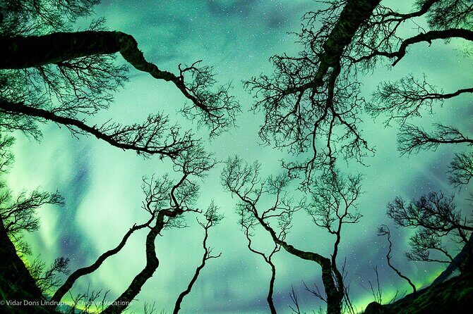 Aurora Adventure Tour with Creative Vacations - The Pros of This Tour