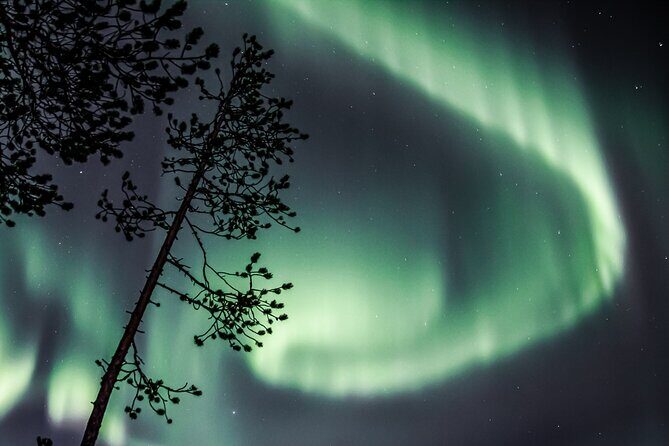 Aurora Hunting Photo Tour from Rovaniemi with Pickup - Seeing the Aurora: Hope and Reality
