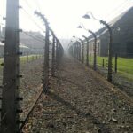 Auschwitz and Birkenau Guided Tour from Krakow - The Price and Its Value