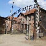 Auschwitz and Birkenau Memorial and Museum Guided Tour from Krakow - The Practical Side: Timing, Cost, and Group Size