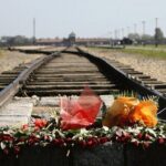 Auschwitz-Birkenau and Salt Mine Tour with private transport from Krakow - Why Choose This Tour?