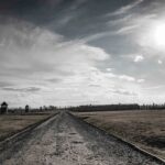 Auschwitz-Birkenau: Entry Ticket with Guided Tour - The Pros and Cons