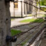 Auschwitz-Birkenau: Guided Tour from Kraków - The Sum Up: Who Is This Tour Best For?