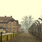 Auschwitz-Birkenau guided tour from Krakow with Ticket & Transfer - Price and Value Analysis