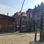 Auschwitz Birkenau Guided Tour with Hotel Pickup from Cracow - The Complete Experience: What to Expect from Start to Finish