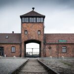 Auschwitz-Birkenau Live Guided Tour and Transfer from Krakow - Is This Tour Worth It?