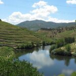 Authentic Douro Valley - small-Group Tour (Max 7) - An In-Depth Look at the Douro Valley Small-Group Tour