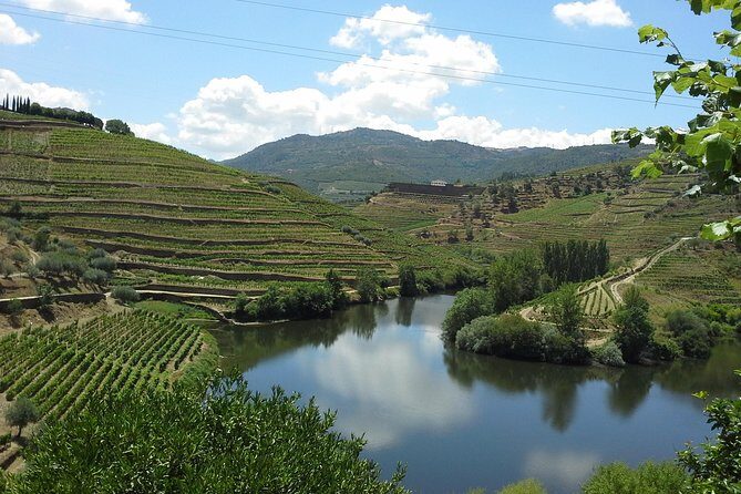 Authentic Douro Valley - small-Group Tour (Max 7) - An In-Depth Look at the Douro Valley Small-Group Tour