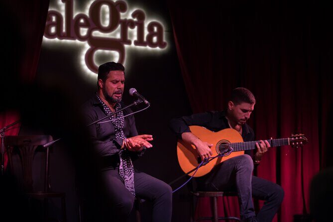 Authentic flamenco show. Alegria and gastronomy Malaga - What To Expect During the Show