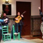 Authentic Flamenco Show with Tapas & Wine Guided Tour - Who Would Enjoy This Experience?