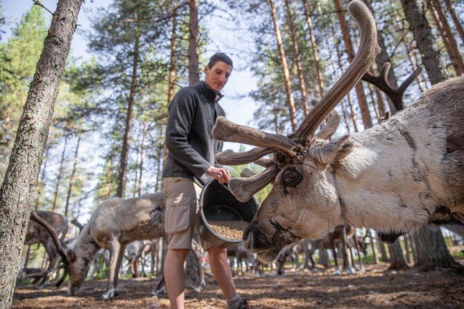 Authentic Reindeer Farm and Canoe Experience from Rovaniemi. - Who Should Consider This Tour?