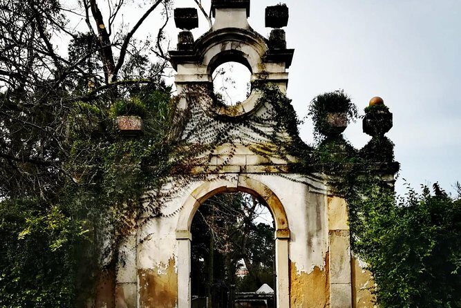 Aveiro and Coimbra Private Tour From Porto - Things to Keep in Mind