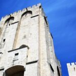 Avignon's history, local culture & the wines of Châteauneuf du Pape private tour - Vineyard Visits and Wine Tasting — A Real Treat