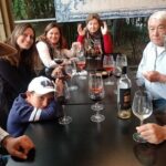 Azeitão Wines Tour and Stunning View Lisbon - Who Is This Tour Best For?