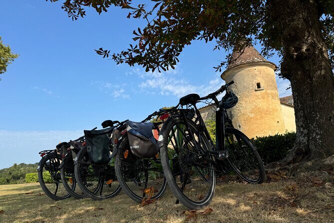 Backcountry E-Bike Adventure from Bordeaux: Wine Tasting & Lunch - Where This Tour Might Not Be Ideal