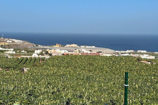 Banana Museum, Rum Distillery & Winery with Tasting: Premium tour - What Makes This Tour Stand Out?