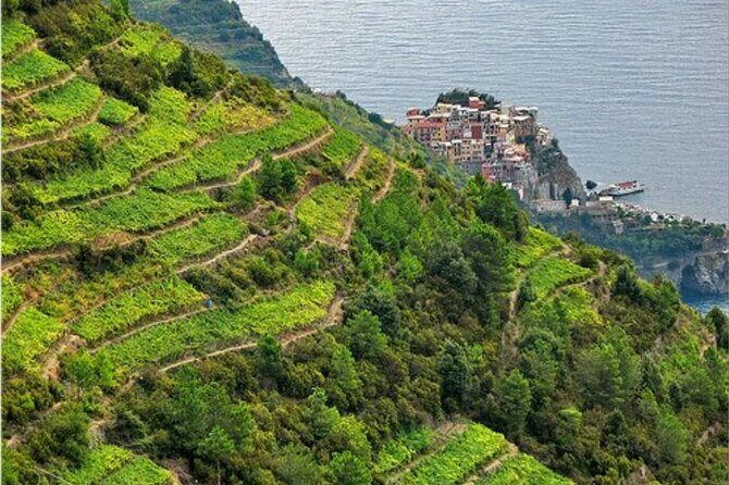BarCa Winery Cinqueterre Trekking & Wine Tasting & Pesto Class - What to Expect on the Itinerary