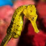 Barcelona Aquarium Skip the Line Ticket - Interactive & Additional Features