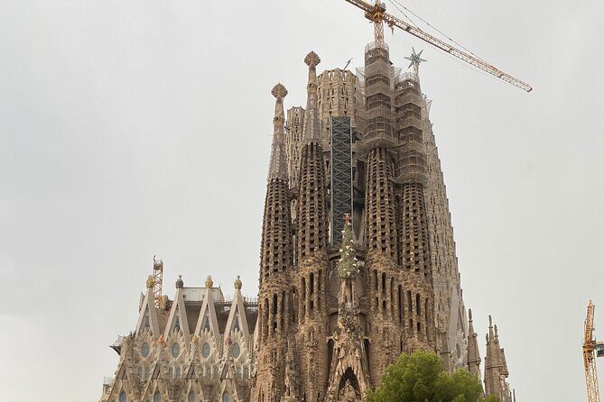 Barcelona: Bar Crawl at Gaixample - The Real Experience: What Travelers Say