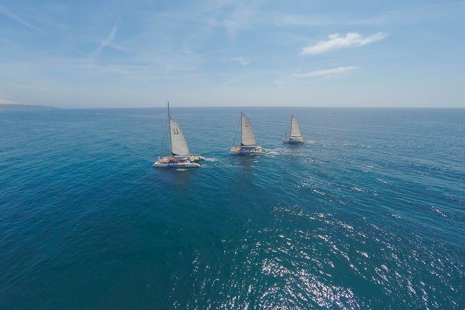 Barcelona Catamaran Party Tour For Young People - The Itinerary In-Depth