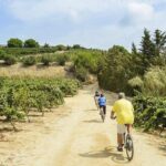 Barcelona eBike Beach Private Tour to Vineyards & Picnic - The Vineyard Visit: A Highlight for Wine Enthusiasts