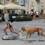 Barcelona Private Tours with Locals: 100% Personalized, See the City Unscripted - What’s Included and What’s Not