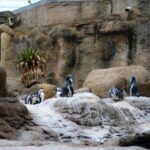 Barcelona Segway City Tour - Who Should Consider This Tour?