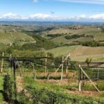 Barolo & CO: visit and tasting - Descending into the Barricaia