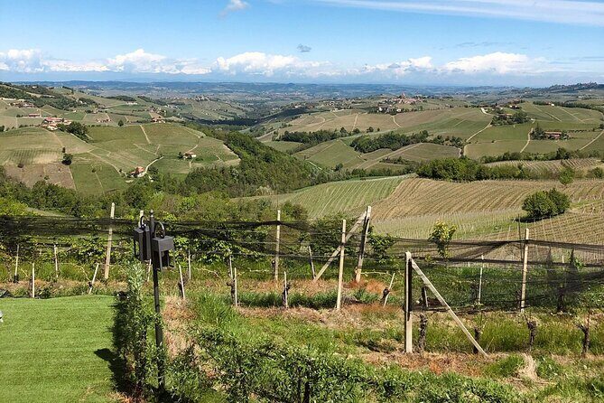 Barolo & CO: visit and tasting - Descending into the Barricaia