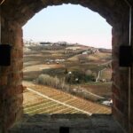 Barolo wine Tasting, Alba, UNESCO Castle: Small Group from Milan - Final Thoughts